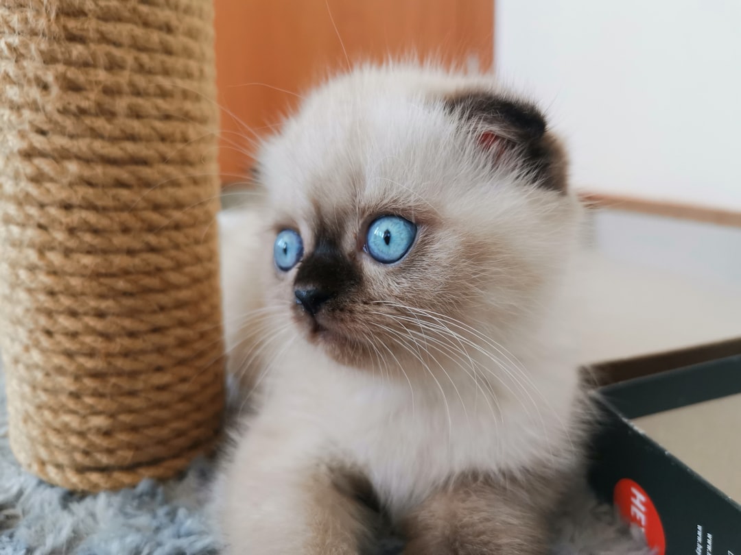 Die schönsten kleinen griechischen Inseln abseits von Santorini & Mykonos (z.B. Folegandros, Astypalea, Kastellorizo) Bild