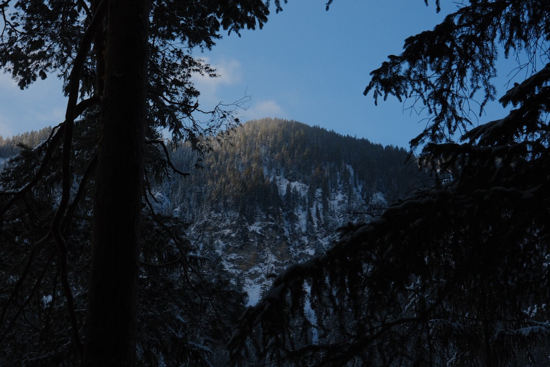 Back to Nature in Deutschland Bild 2 Back to Nature in Deutschland Thema Bild