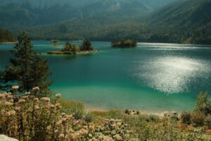 1. Malerischer Wanderweg im Nationalpark Bayerischer Wald