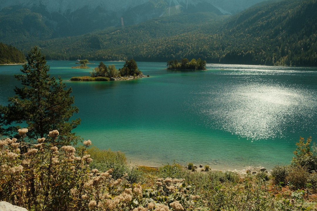 1. Malerischer Wanderweg im Nationalpark Bayerischer Wald