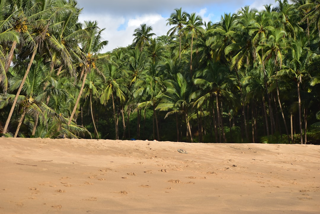 Die besten Alternativen zu Spanien und Italien 2026 Thema Bild