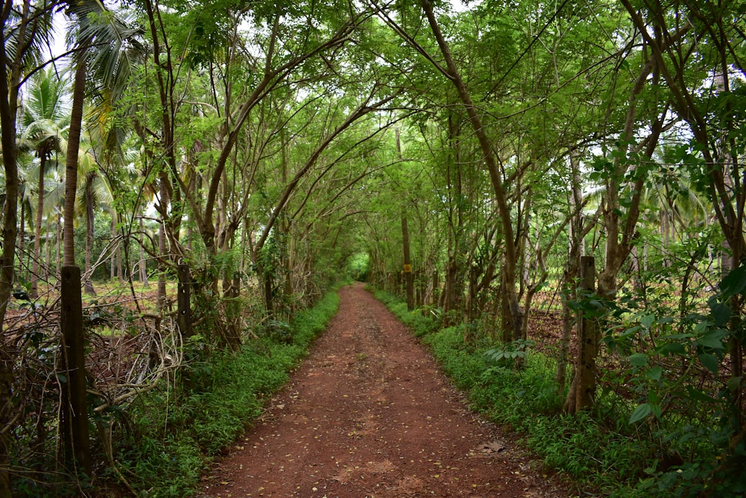 - Küstenlandschaft der Algarve in Portugal mit Felsformationen und blauem Meer