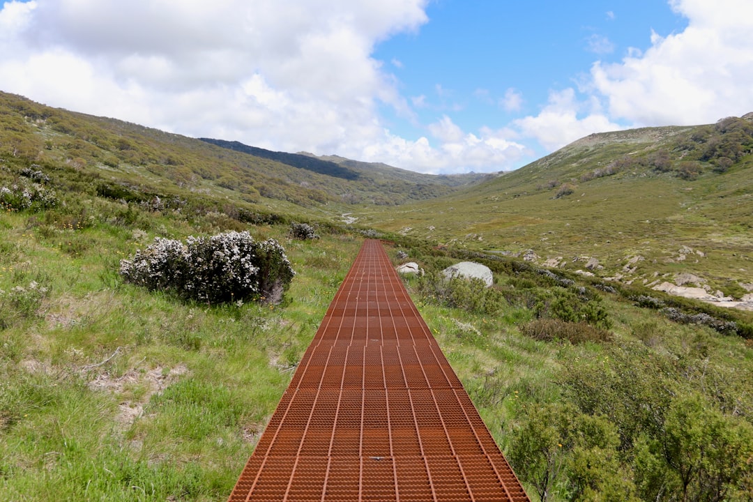 Quietcation & Hushpitality Bild 2 Quietcation & Hushpitality Thema Bild